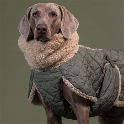 Paikka Quilted Sherpa Fleece Vinter Hundejakke Olive
